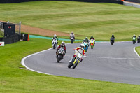 brands-hatch-photographs;brands-no-limits-trackday;cadwell-trackday-photographs;enduro-digital-images;event-digital-images;eventdigitalimages;no-limits-trackdays;peter-wileman-photography;racing-digital-images;trackday-digital-images;trackday-photos